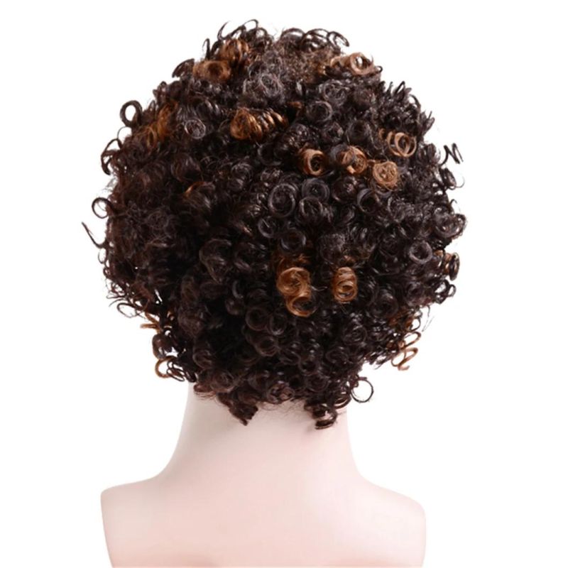 Toupee Men Curly Synthetic Short Wigs for Men′s Daily Wig Mixed Male Curly Natural Cosplay Hair Heat Resistant Breathable