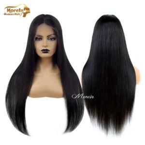 10A Glueless Lace Front Human Hair Wigs Indian Virgin Raw Hair Wigs Straight Style for Black Women