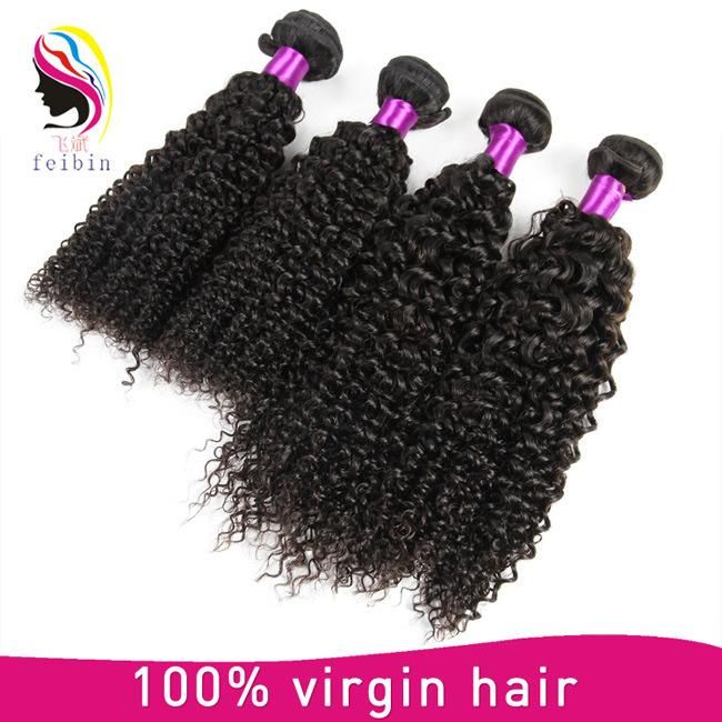 Wholesale 100% Remy Brazilian Human Hair Kinky Curl Hair Extension