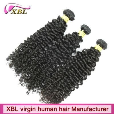 Guangzhou Wholesale Free Samples Virgin Brazilian Curly Hair