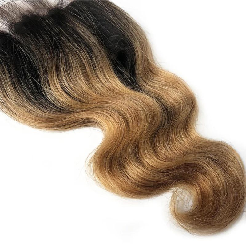 Ombre Brazilian Human Hair Bundles with Closure Transparent Closure with Bundles Loose Wave Bundles Wi Human Hairth Closure Weave Short Hair Extensions