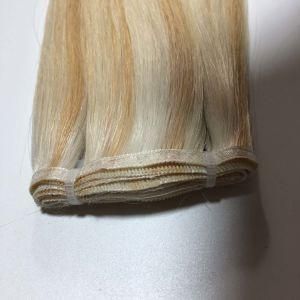 #P22/60 Silky Straight New Hair Weft Cuticle Brazilian Virgin Remy Human Hair Extensions