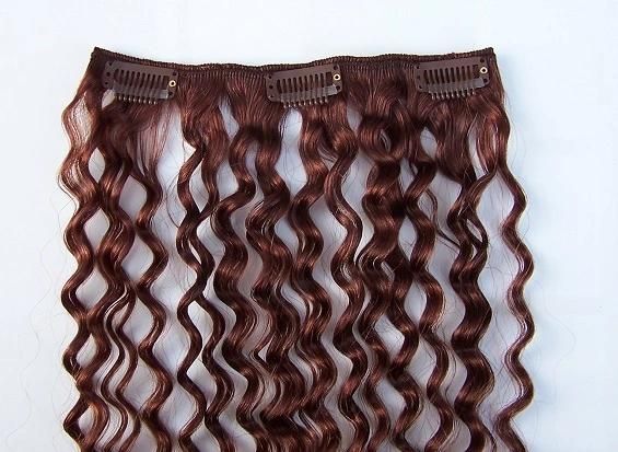 Clip on Hair Extensions Deep Wave Human Hair Clip in Hair Extension (AV-CDW010)