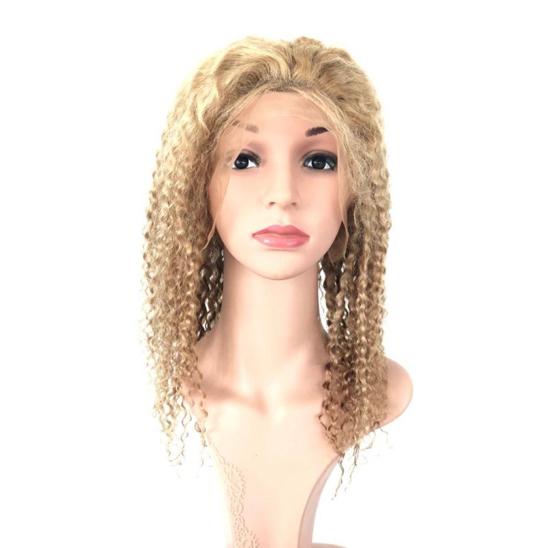 100% Human Hair Straight Brazilian Virgin Hair Front Lace Wig