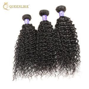 Brazilian Vendors Double Drawn Raw Unprocessed 10A Virgin Bundle Hair