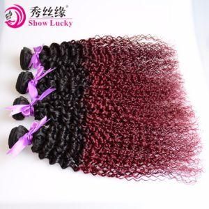 Free Shipping Two Tone Colored 1b/99j European Virgin Human Hair Weave Kinky Curly Ombre Hair 10A Grade