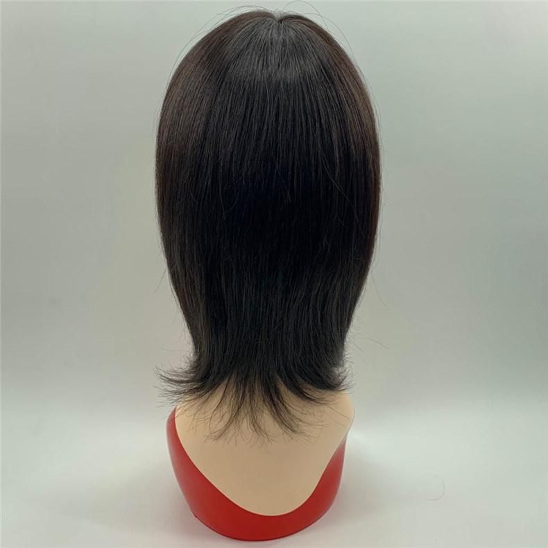 Factory Price Cheap Short Brazilian Human Hair 10inch Woman Wig