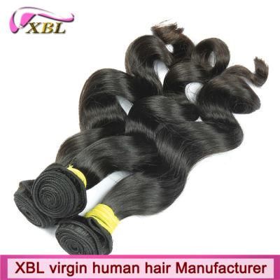Full Cuticle Virgin Brazilian Loose Wave Hair