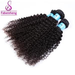 One Donor Cuticle Aligned Malaysian Hair, 100% Human Kinky Curly Virgin Malaysian Hair Bundles