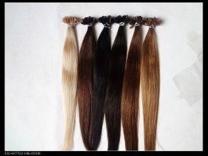Fast Delivery Keratin Hair Extension 100% Remy /Virgin Hair Tangle Free
