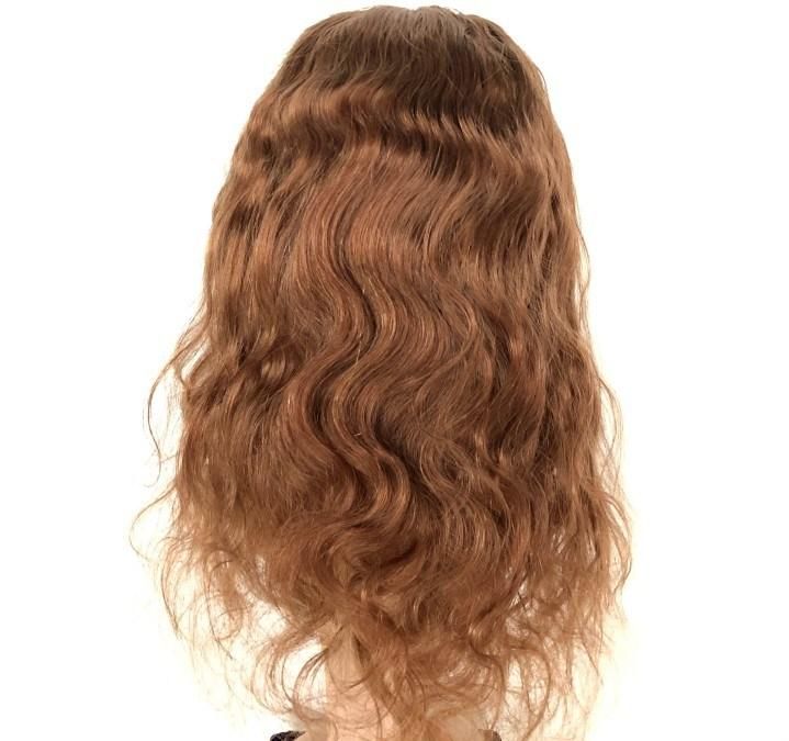 Wendyhair New Style Straight Women Hair Lace Front Wigs