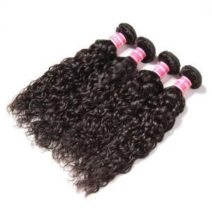 Natural Water Wave Hair High Quality Brazilian Virgin Human Hair Weaving Extension