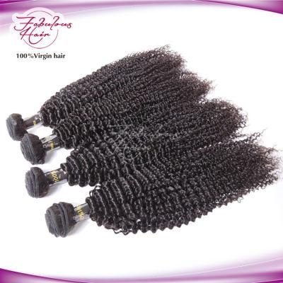 Unprocessed Human Hair Extension Kinky Curly Wholesale Virgin Peruvian Hair