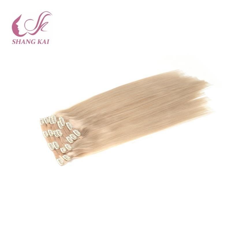 Virgin Remy Double Drawn Aligned Clip in Human Hair Extension
