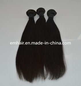 High Quality No Tangle Straight Brazilian Virgin Hair 100 % Human Hair Bundles