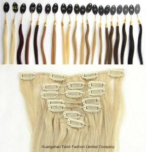 Real Human Hair Full Head Clip in Remy Hair Extensions