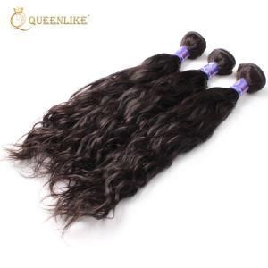 Fresh Virgin Hot Sales Promotion Cheap Hair Extension