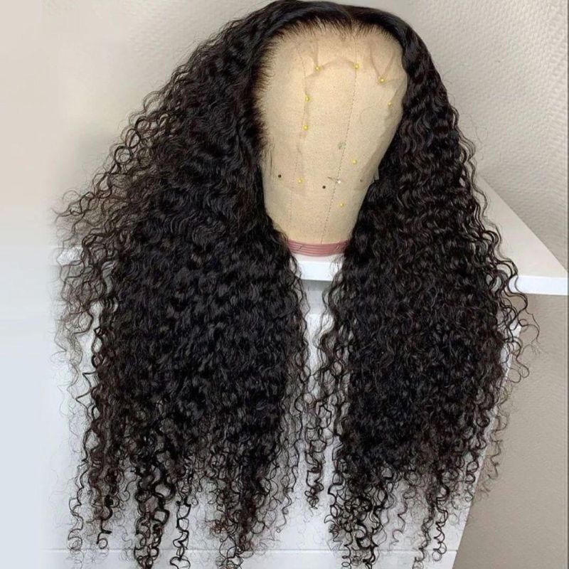 13X6 Front Lace Wig Curly Virgin Human Hair Wigs