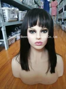 Indian Virgin Human Hair Front Lace Wig Silk Straight