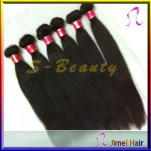 Virgin Brazilian Hair Straight Extension