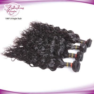 Top Grade 12A Indian Original Natural Wave Human Hair Weft