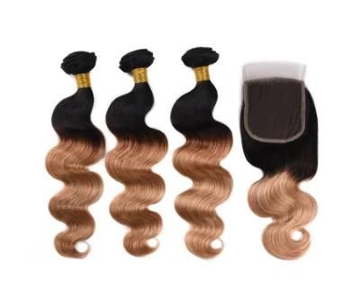 Ombre Body Wave Human Hair Bundles with Lace Closure 1/27