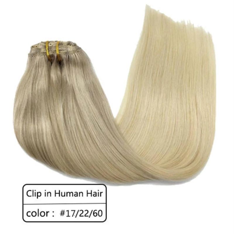 Brazilian Human Hair Extensions Full Head Clip in Remy Human Hair Straight Hair Extensions Multi Color 20 Inches Clip in