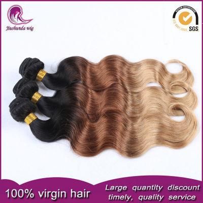 Ombre 2/3t Color Peruvian Remy Human Hair Weave