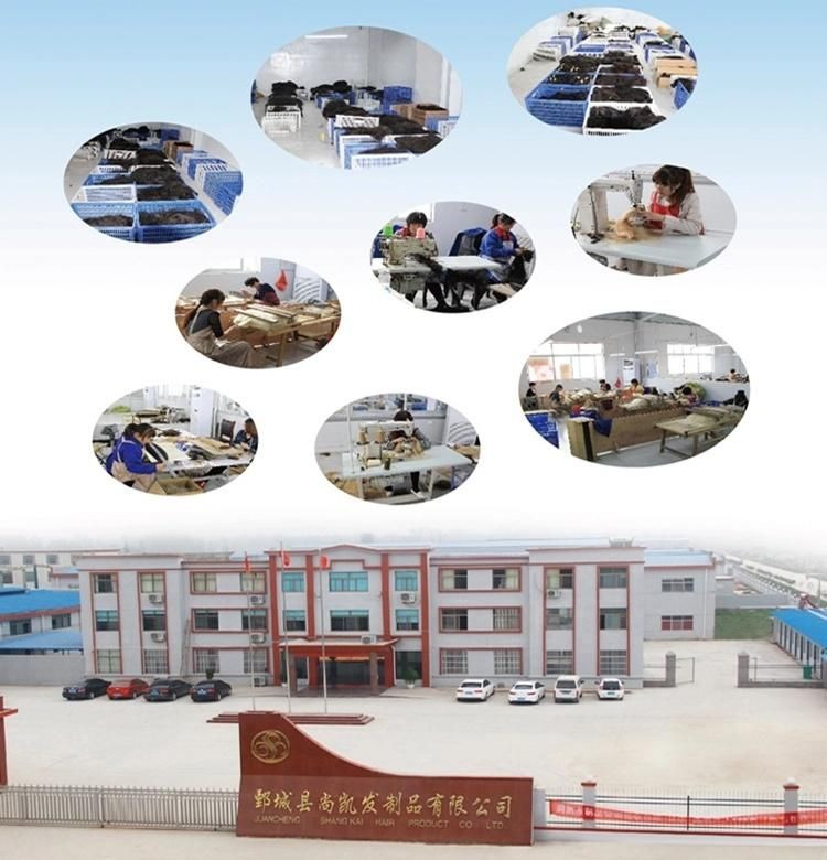Wholesale Price Top Grade Full Cuticle Tape Hair Extension