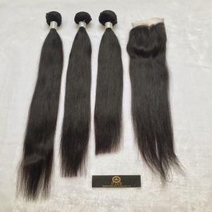 Unprocessed Brazilian Human Hair with Virgin Hair of Straight Natural Color