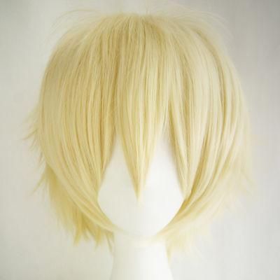 Hot Sale Europe and America Anime Cosplay Short Hair Anti-Warping Men&prime;s Wig
