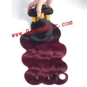 T1b/99j Ombre Color Body Wave Hair Weave Wholesale Hair Extension