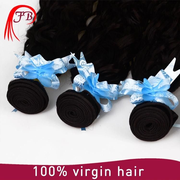 100% Virgin Brazilian Human Hair Natural Wave Hair Weaving