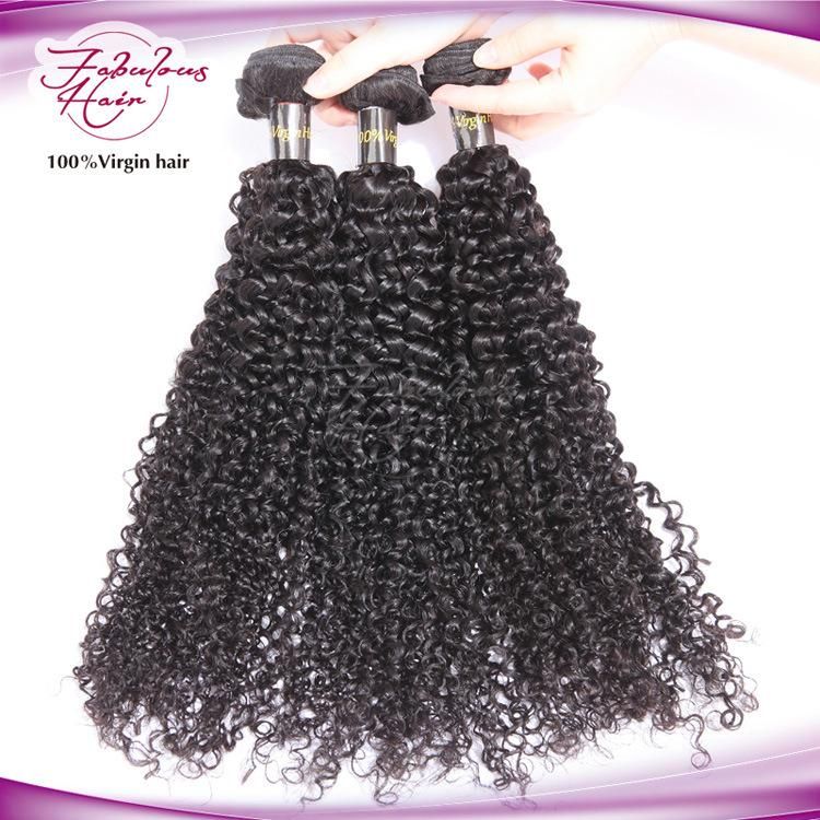Wholesale Price Afro Kinky Curly Indian Human Hair