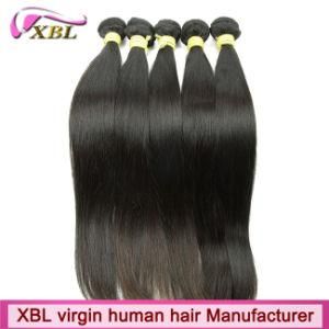 New Arrival Soft Pure Charming Human Brazilian Hair