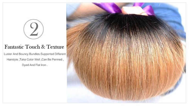 Ombre Color Brazilian Human Hair Bundles 1b/27 Colored Human Hair Weave Bundles Remy Hair Extension
