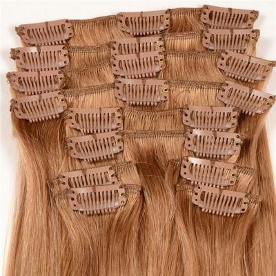 Xuchang Beautyhair Hot Selling Grade 8A Clip in Hair Extension