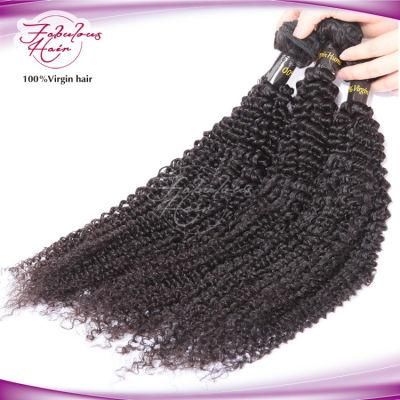Fbl Unprocessed Hair Virgin Brazilian Kinky Curly Hair