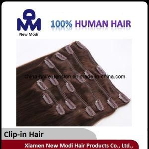 Virgin Hair Extension Clip in Hair Extensions
