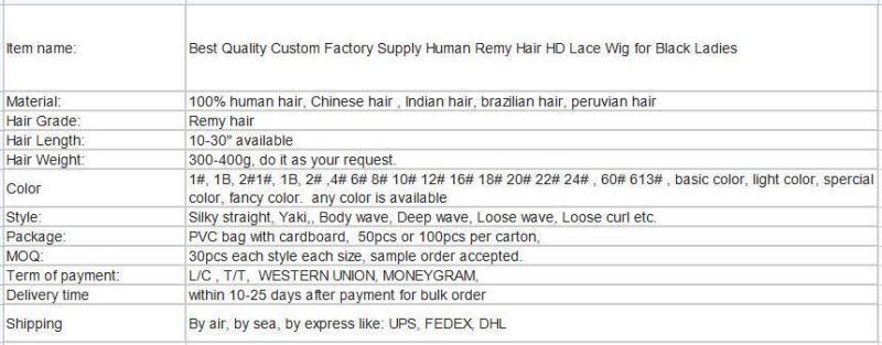 Best Quality Custom Factory Supply Human Remy Hair HD Lace Wig for Black Ladies