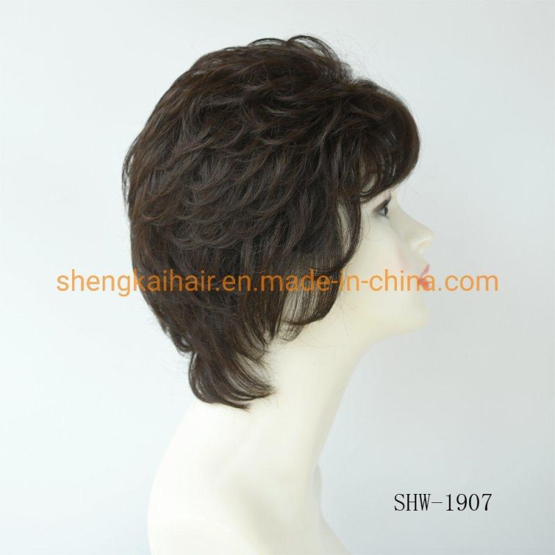 Wholesale Premium Quality Fashion Short Hair Length Full Handtied Human Hair Synthetic Hair Mix Hair Wig
