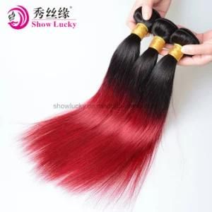 Grade 9A Two Tone Colored 1b/Burgundy Brazilian Virgin Human Hair Weft Straight Remy Ombre Hair Products