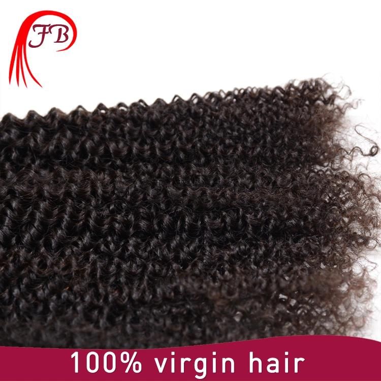 Brazilian Popular Human Hair Kinky Curly Remy Hair