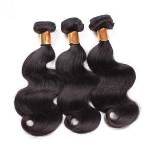 High Quality Body Wave Virgin Raw Malaysian Human Hair Bundles