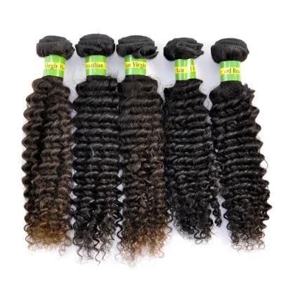 Top Quality Natural Human Hair Brazilian Virgin Hair Extensions Kinky Curly Lbh 100