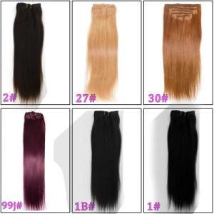 Burgundy Silky Straight 100% Human Hair Clip-in Extension