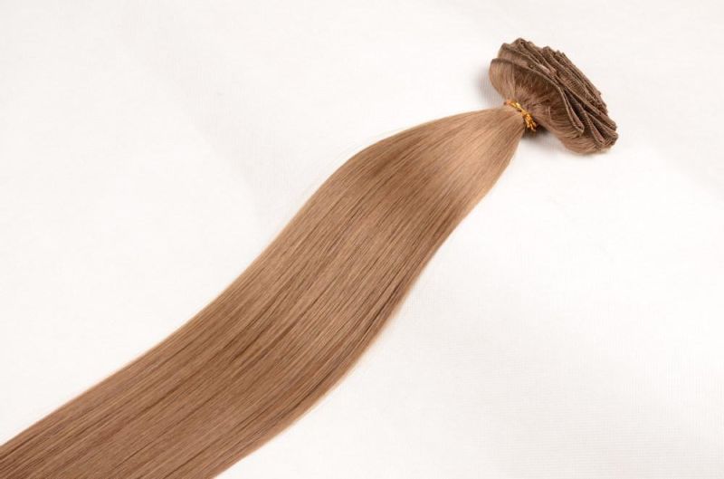 Xuchang Beautyhair Hot Selling Grade 8A Clip in Hair Extension