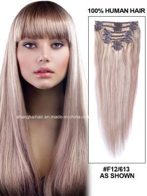 Hair Extension Supplier Clip in Remy Human Hair Extension