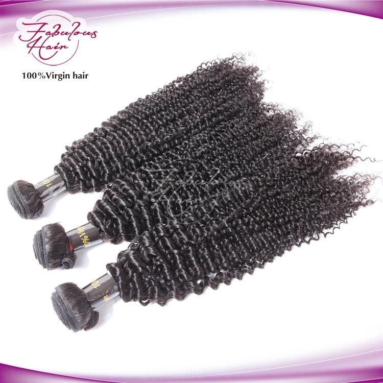 Attractive Natural Hair Weft Tangle Free Mongolian Kinky Curly Hair