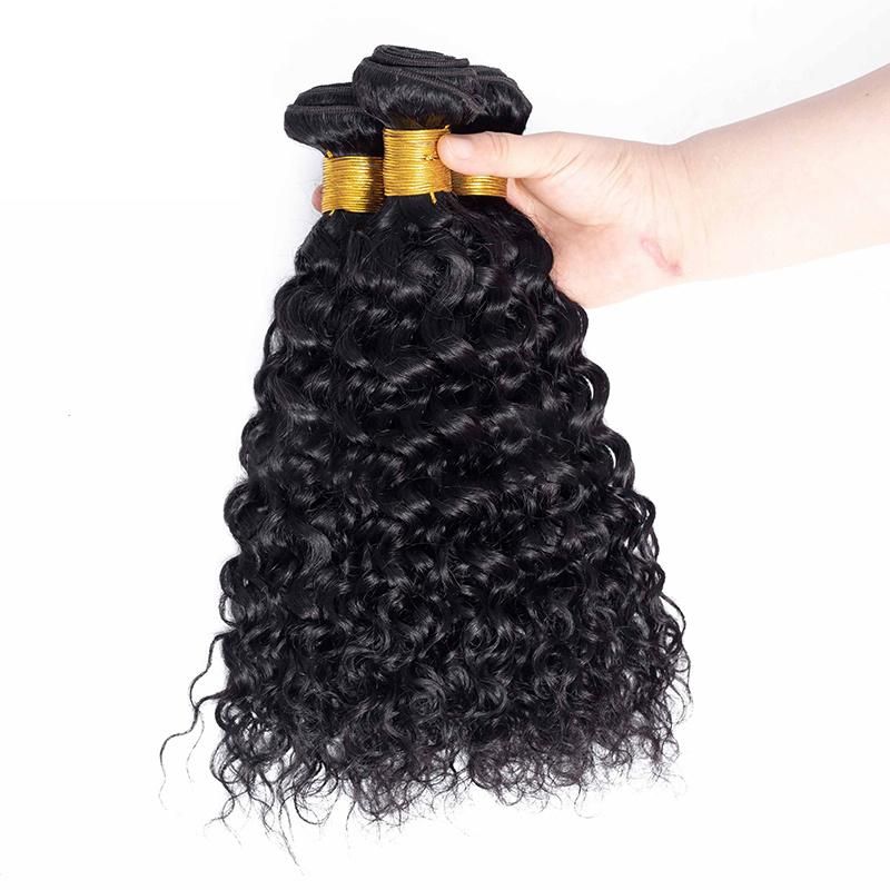 Raw Unprocessed Virgin Brazilian Water Wave Human Hair